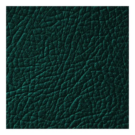 Leather Expert bőrfesték bőrszínező 603 Forest Green 1000ml